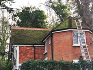 Gallery | Picture 19