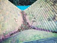 Gallery | Picture 20