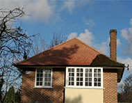 Gallery | Picture 32