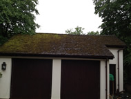 Gallery | Picture 48