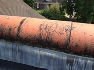 Gallery | Picture 63