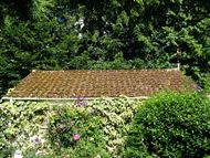 Gallery | Picture 66