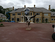 Gallery | Picture 81